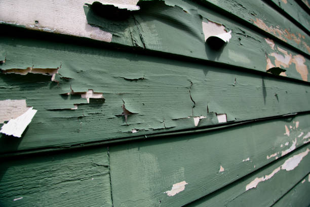  Bodega Bay, CA Junk Removal Pros